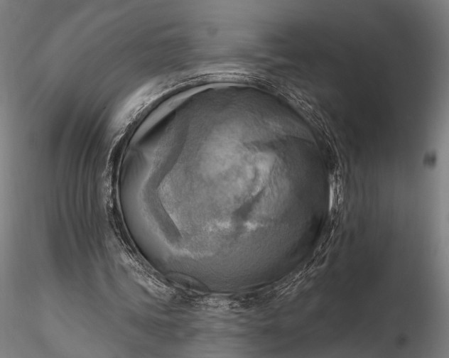 X0000116300339200912141340