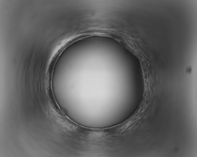 X0000116300342200912141340