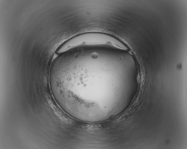 X0000116300345200912141340