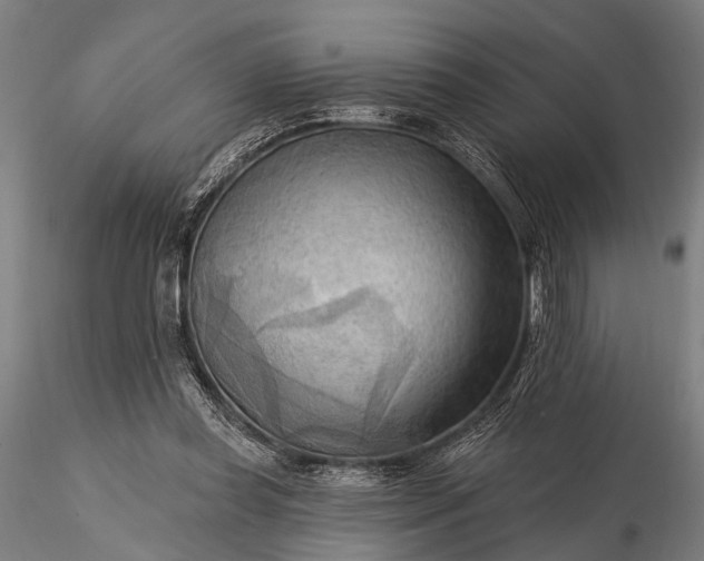 X0000116300349200912141340