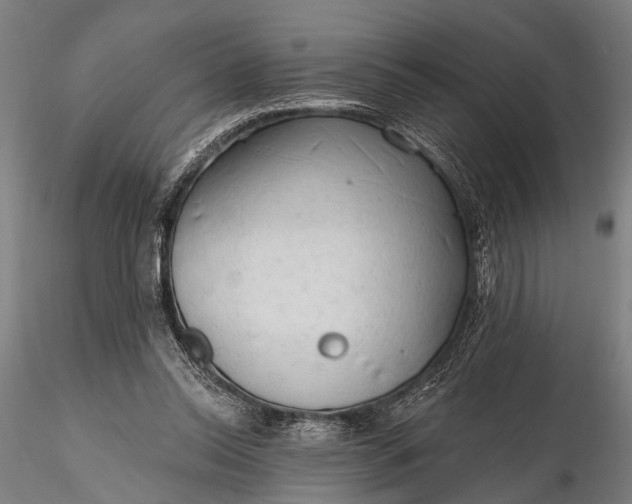 X0000116300350200912141340