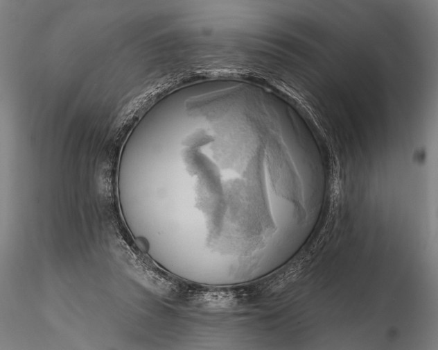 X0000116300353200912141340