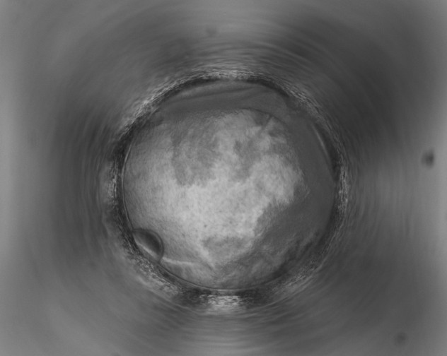 X0000116300355200912141341