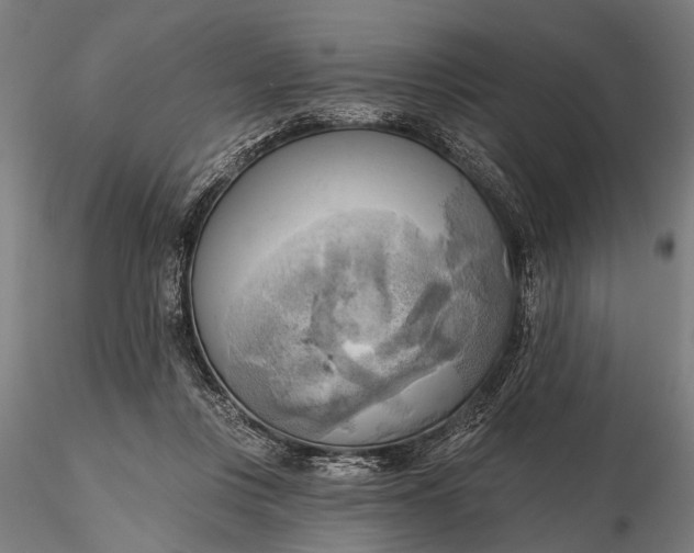 X0000116300359200912141341