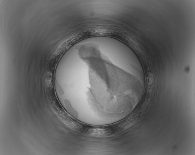 X0000116300361200912141341