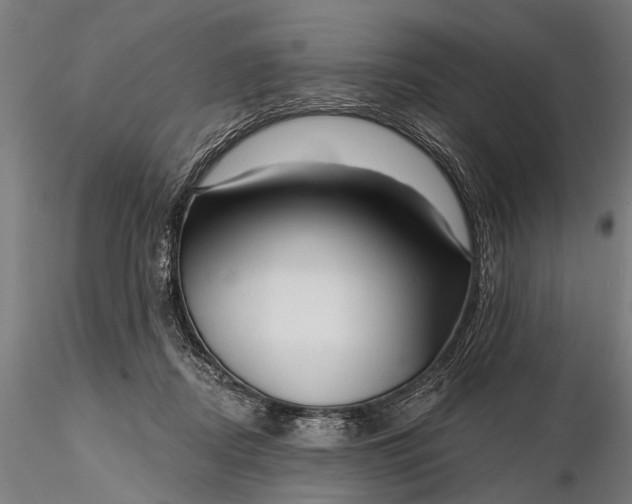 X0000116300362200912141341