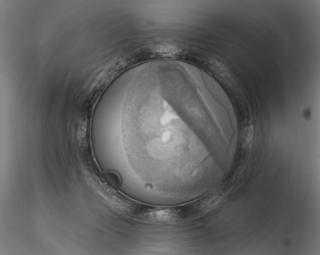 X0000116300365200912141341