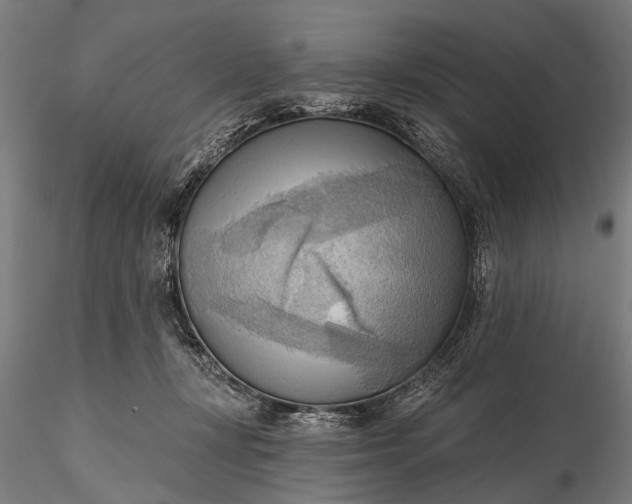 X0000116300367200912141341