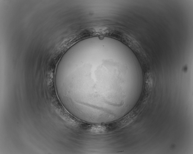 X0000116300369200912141341