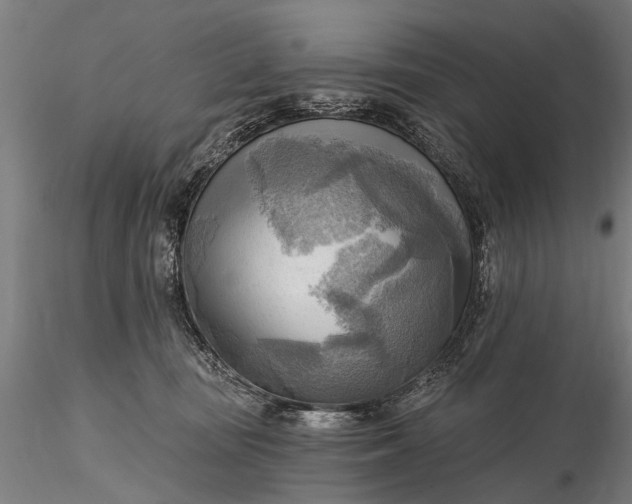 X0000116300371200912141341