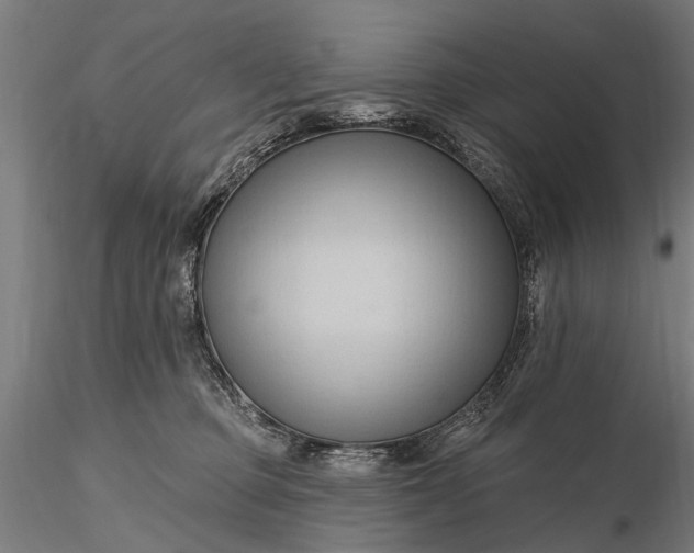 X0000116300373200912141341