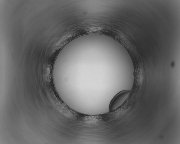 X0000116300378200912141341