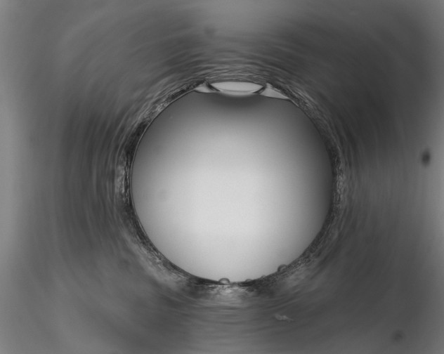 X0000116300379200912141341