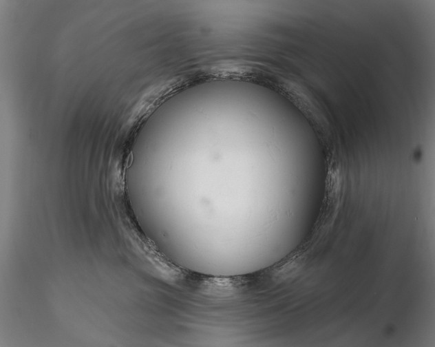 X0000116300381200912141341