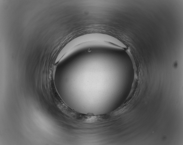 X0000116300382200912141341