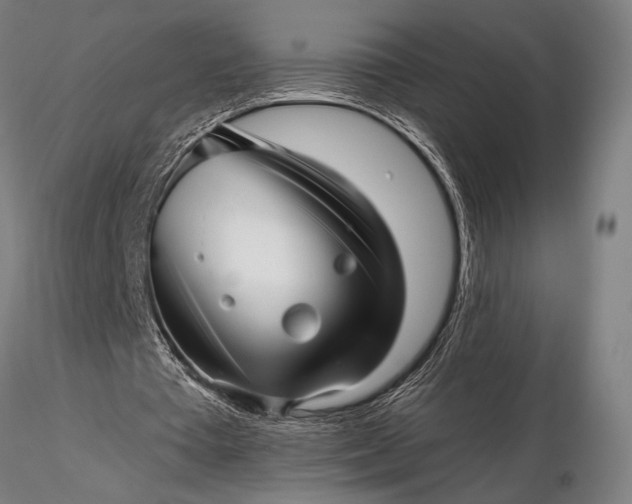 X0000116300385200912141340