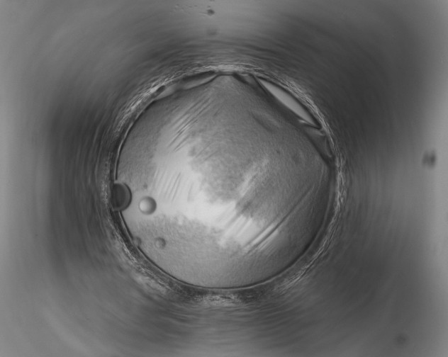 X0000116300386200912141340