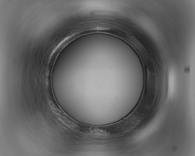 X0000116300387200912141340