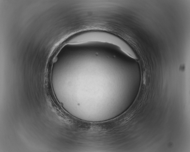 X0000116300388200912141340