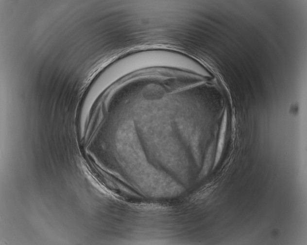 X0000116300389200912141340