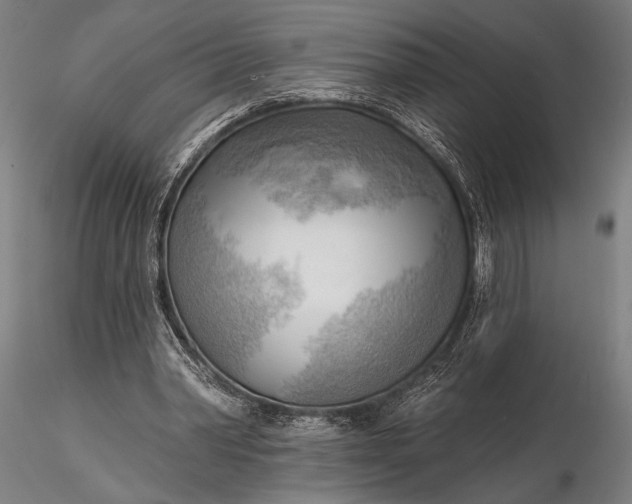 X0000116300390200912141340