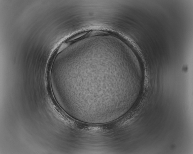 X0000116300391200912141340