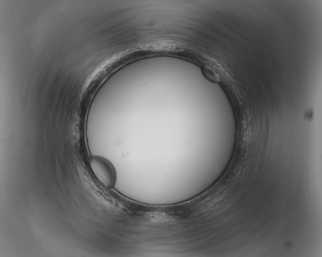 X0000116300392200912141340