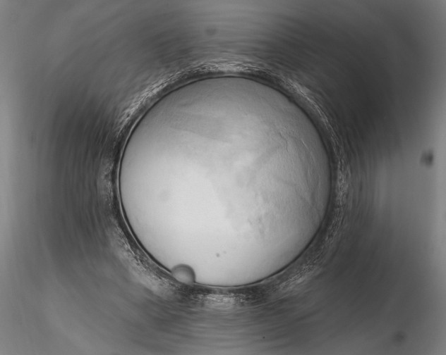 X0000116300394200912141340