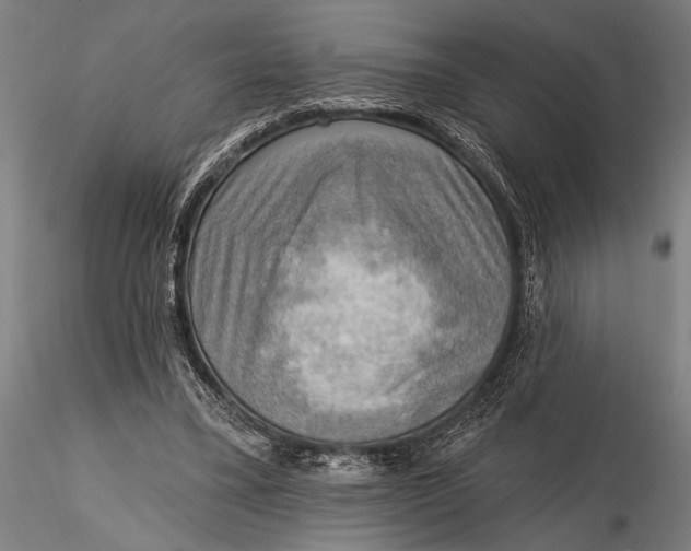 X0000116300395200912141340