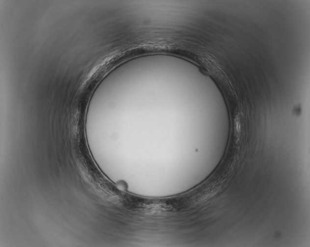 X0000116300396200912141340