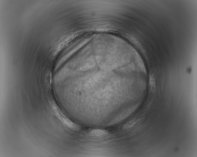 X0000116300397200912141340