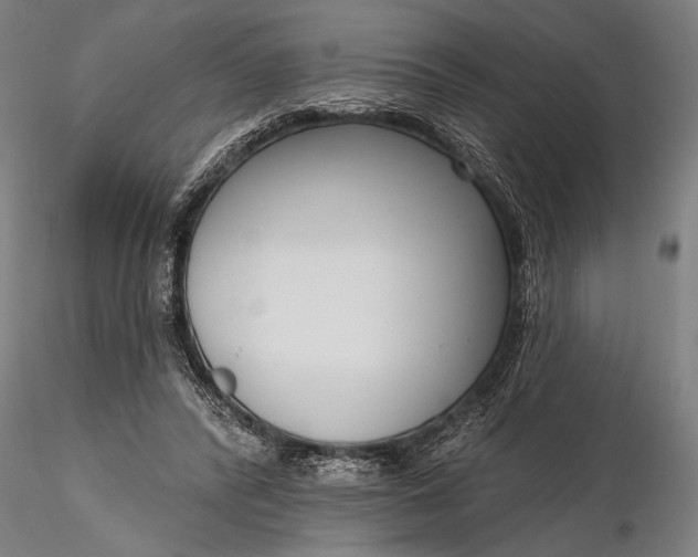 X0000116300400200912141340