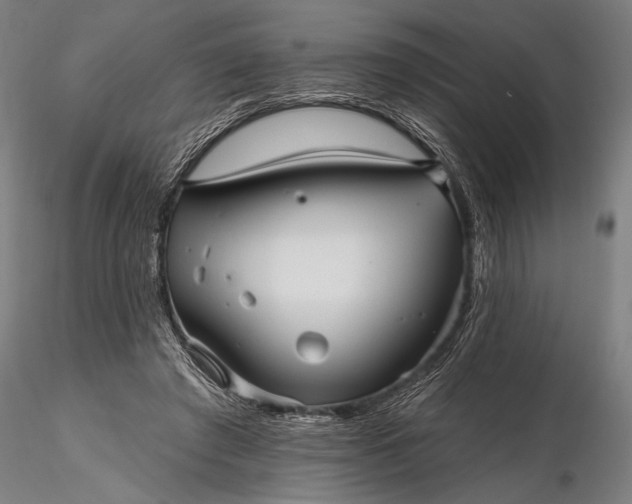 X0000116300401200912141340