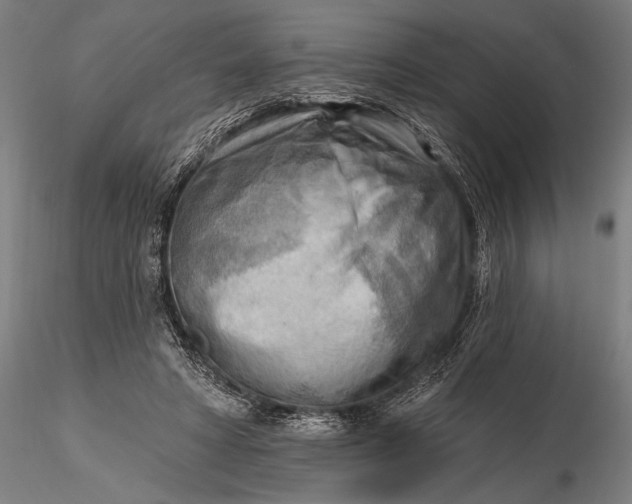 X0000116300402200912141340