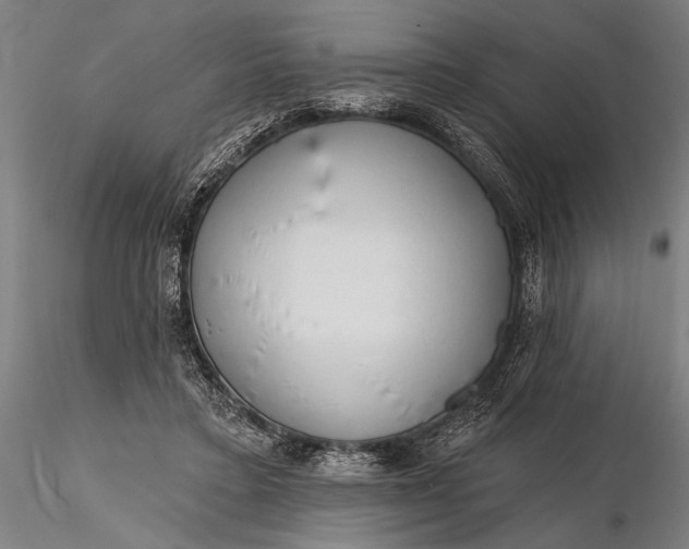 X0000116300403200912141340