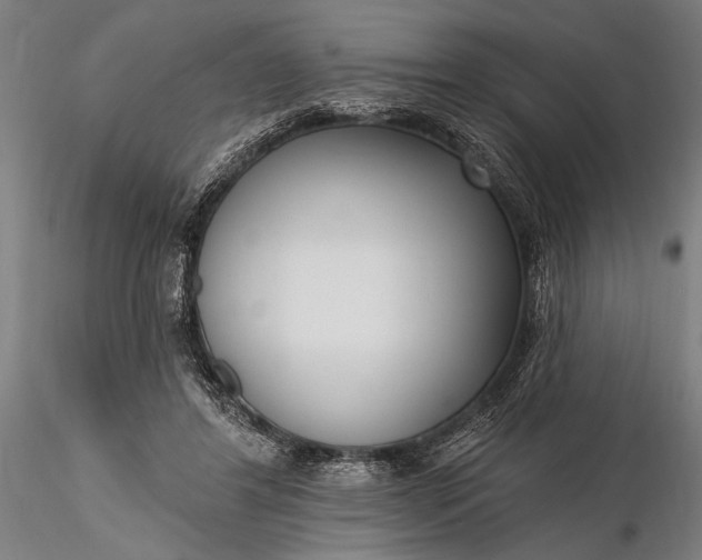 X0000116300404200912141340