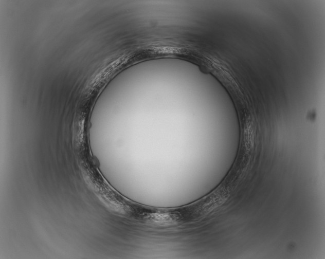 X0000116300406200912141340