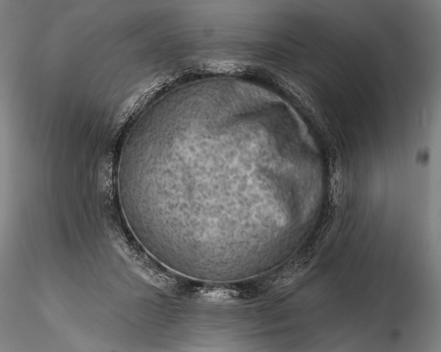 X0000116300407200912141340