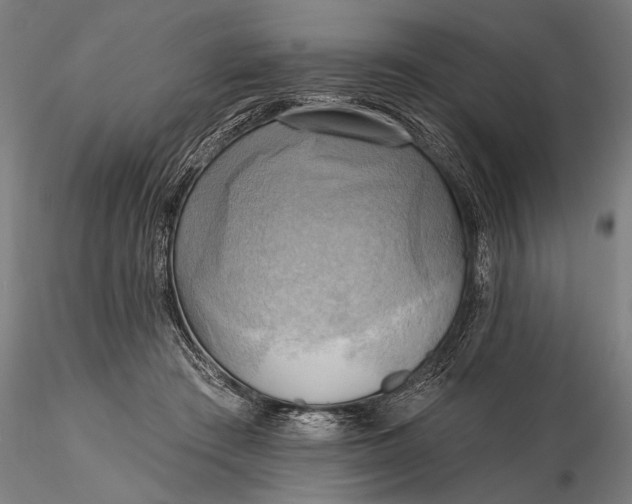 X0000116300409200912141340