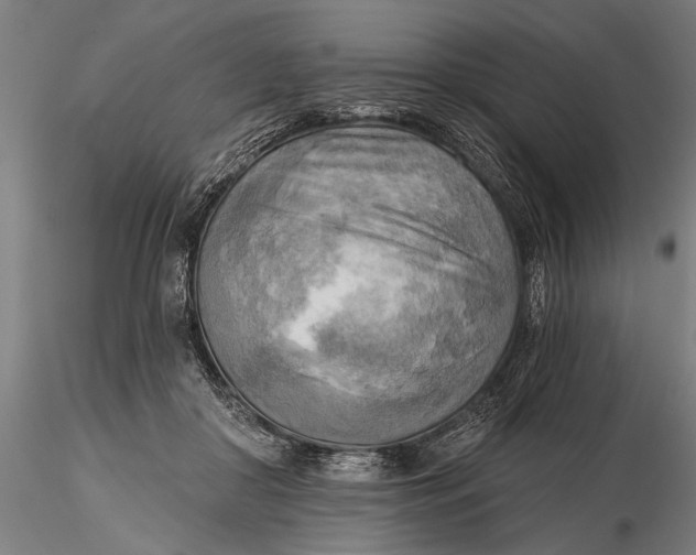 X0000116300410200912141340