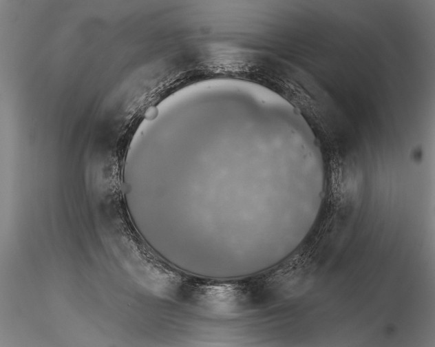 X0000116300411200912141340