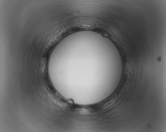 X0000116300412200912141340