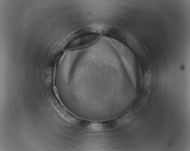 X0000116300413200912141340