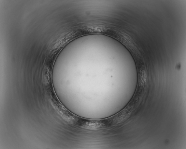 X0000116300414200912141340