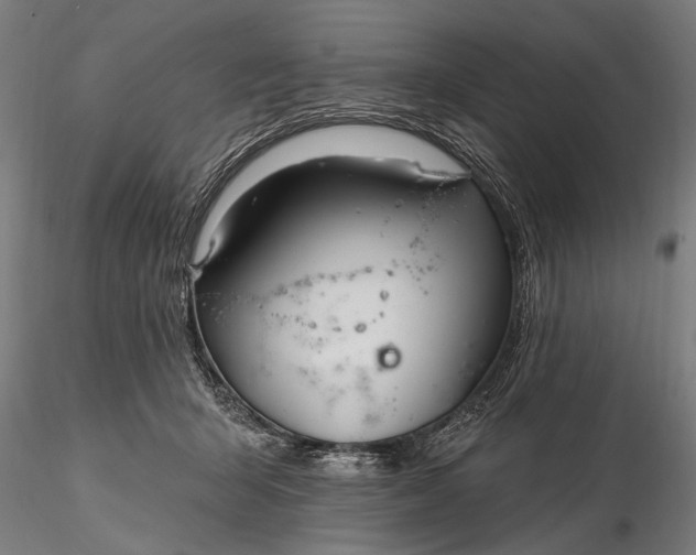 X0000116300415200912141340