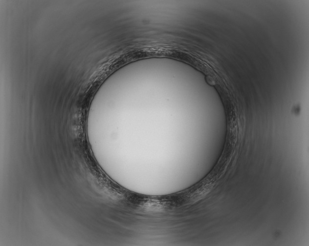 X0000116300416200912141340