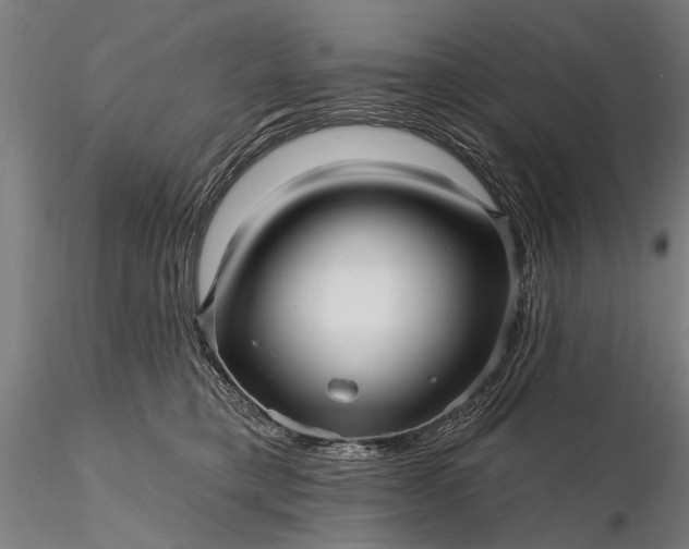 X0000116300421200912141340