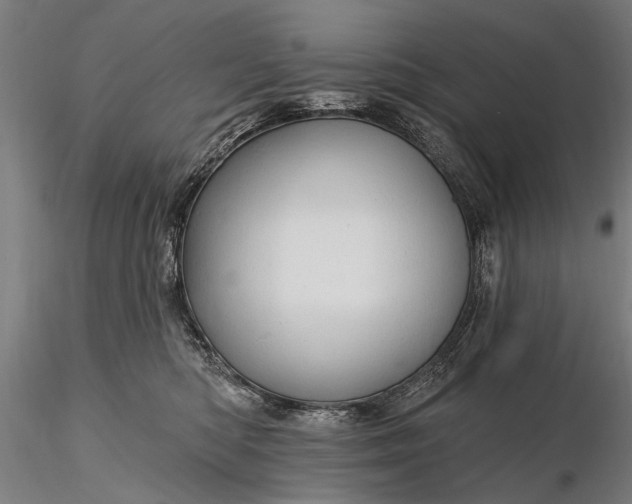 X0000116300422200912141340