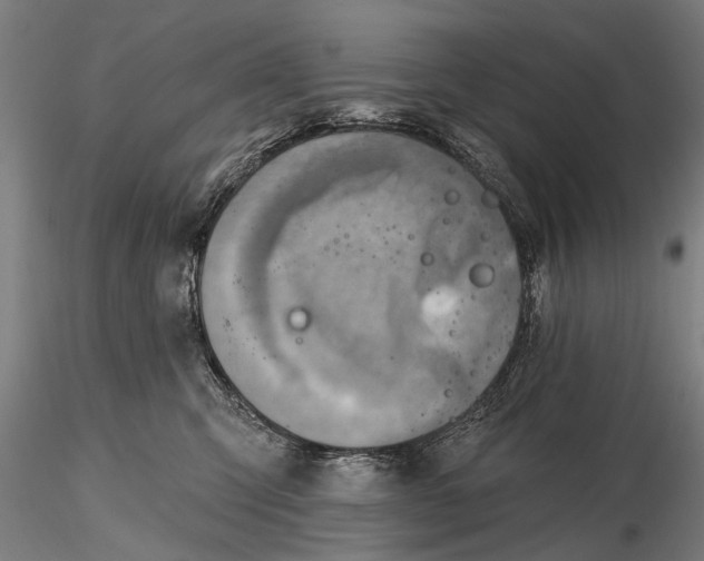 X0000116300423200912141340