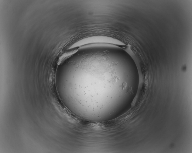 X0000116300424200912141340